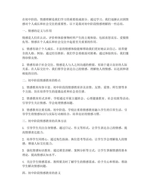 情感理解总结范文初中