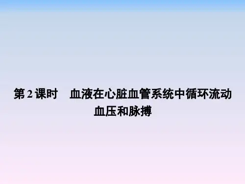 北师大版七年级下册生物 9.2血液循环2 课件 (共17张PPT)