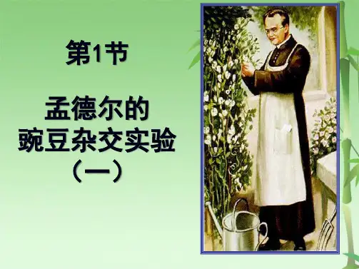 孟德尔豌豆杂交试验一公开课(共42张PPT)