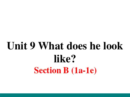 新人教版七年级英语下册Unit 9 Section B (1a~1e)课件