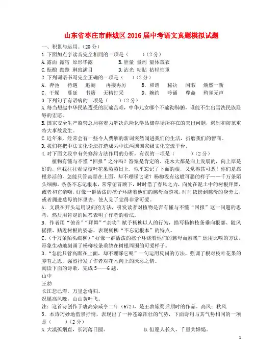 山东省枣庄市薛城区2016届中考语文真题模拟试题