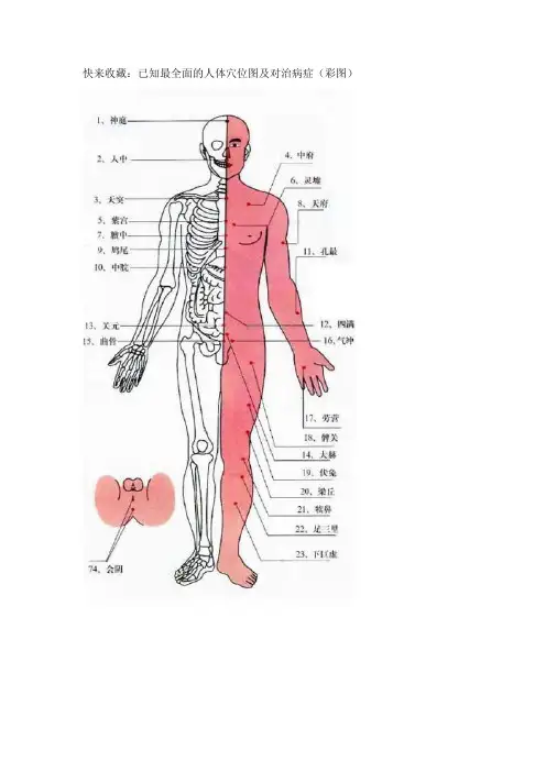 最全人体穴位图和对治病症(最新彩图)