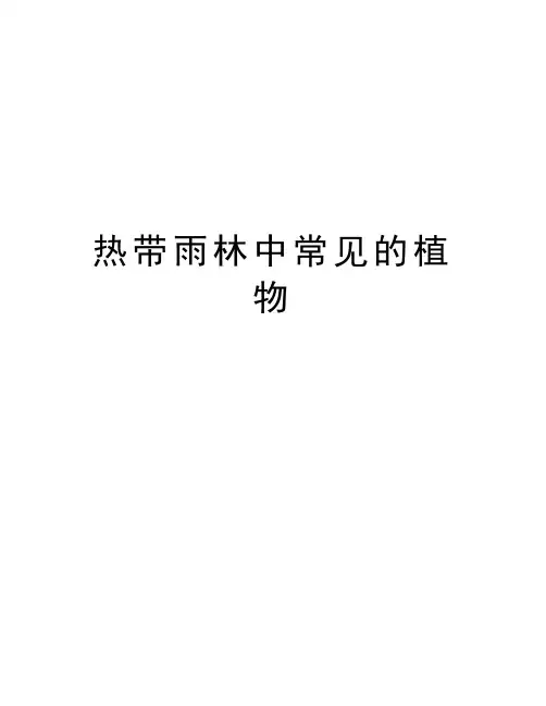 热带雨林中常见的植物汇编