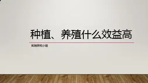 初中综合实践活动《察探究活动  7.种植、养殖什么收益高》培优课件_2