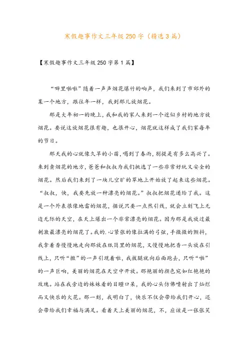 寒假趣事作文三年级250字(精选3篇)