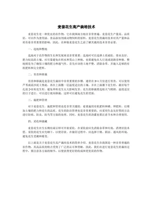 麦套花生高产栽培技术