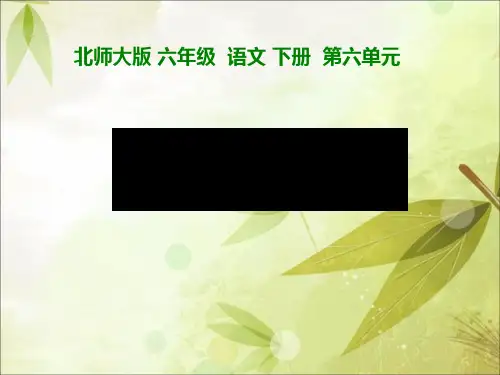 《白衣天使》 PPT教学课件3