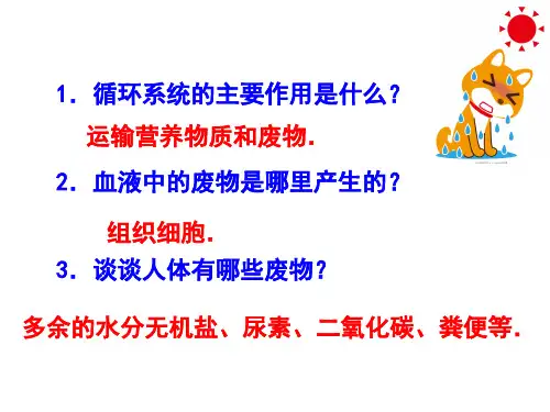 北师大版七年级下册11.1《人体产生的代谢废物》课件(26张ppt)