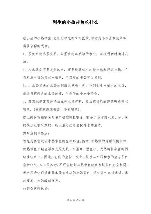 刚生的小热带鱼吃什么