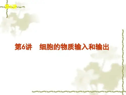 高考生物一轮复习精品课件∶第6讲 细胞的物质输入和输出