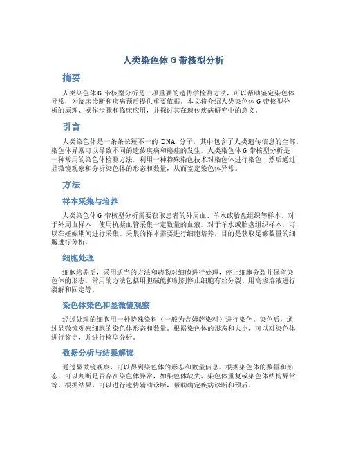 人类染色体G带核型分析