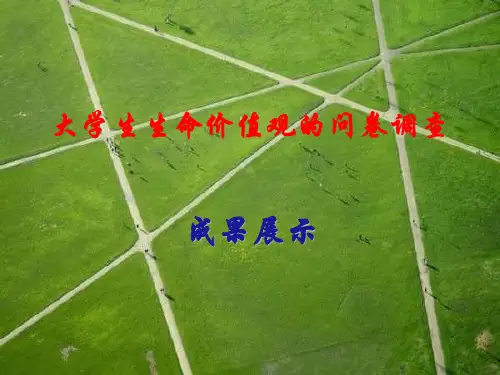 对于大学生生命价值观的调查报告分析