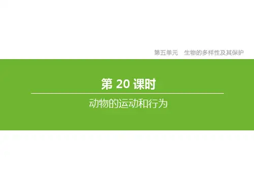 人教版中考生物总复习第五单元生物的多样性及其保护第20课时动物的运动和行为课件 