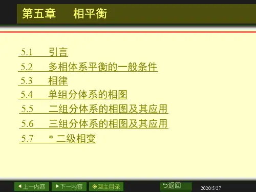 第五章相平衡