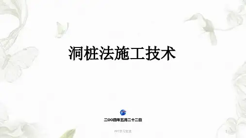 洞桩法演示课件
