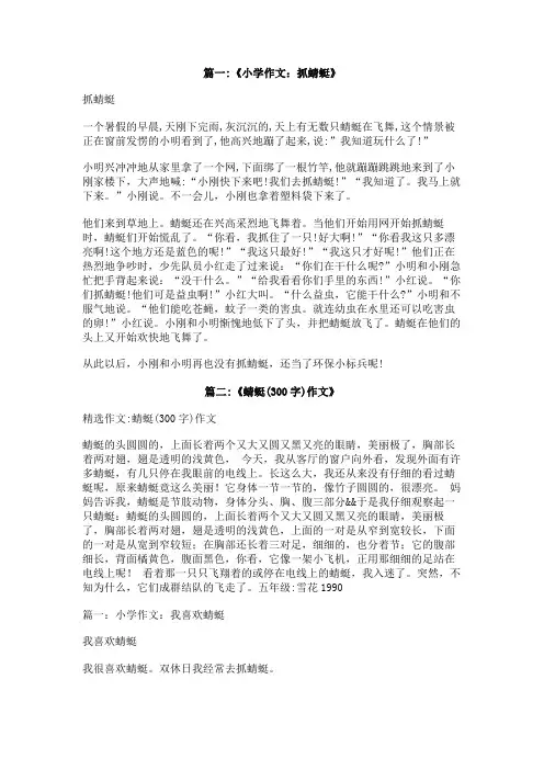 放飞蜻蜓的作文