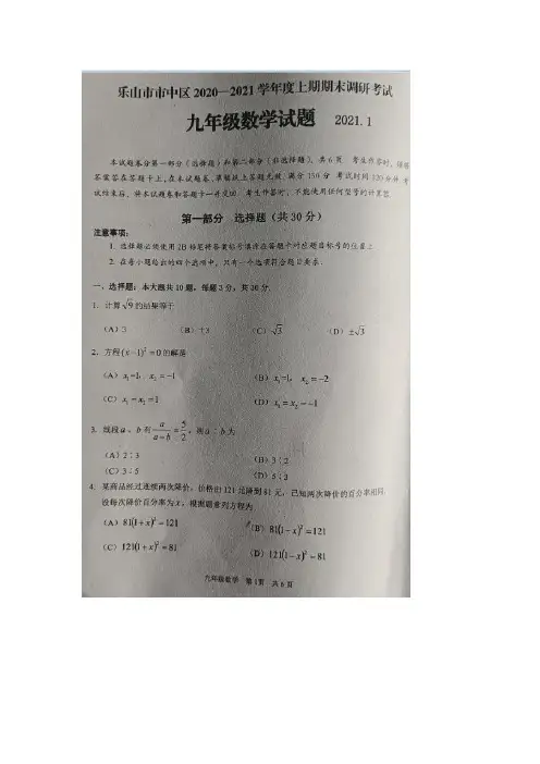 乐山市市中区2020—2021学年度上期期末调研考试九年级数学试题及答案(图片版)