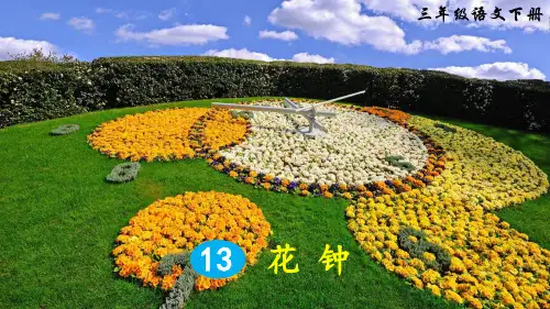 部编版三年级语文下册第13课《花钟》优秀课件
