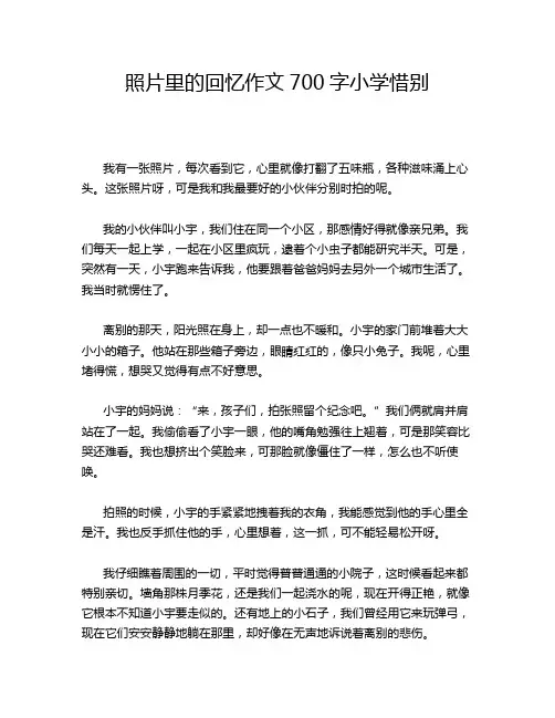 照片里的回忆作文700字小学惜别