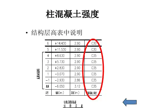 快速读懂--柱配筋图精选文档