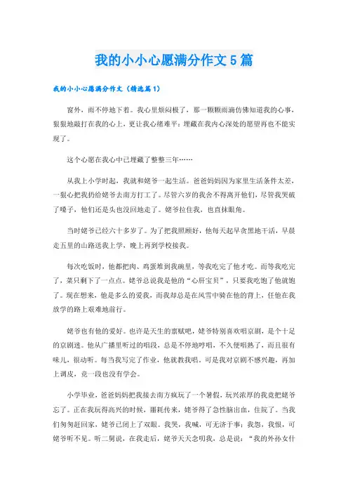 我的小小心愿满分作文5篇