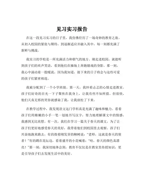 见习实习报告