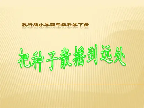 四年级下 把种子散播到远处 教科版ppt