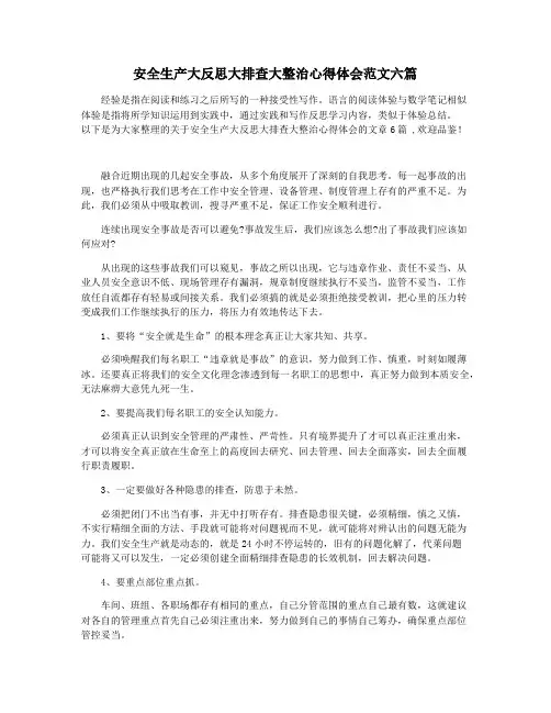 安全生产大反思大排查大整治心得体会范文六篇