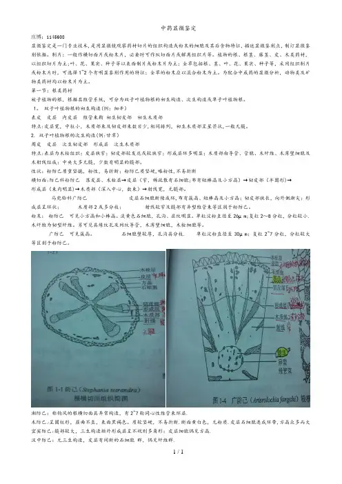 中药显微鉴定