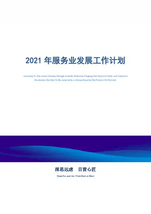 2021年服务业发展工作计划精选