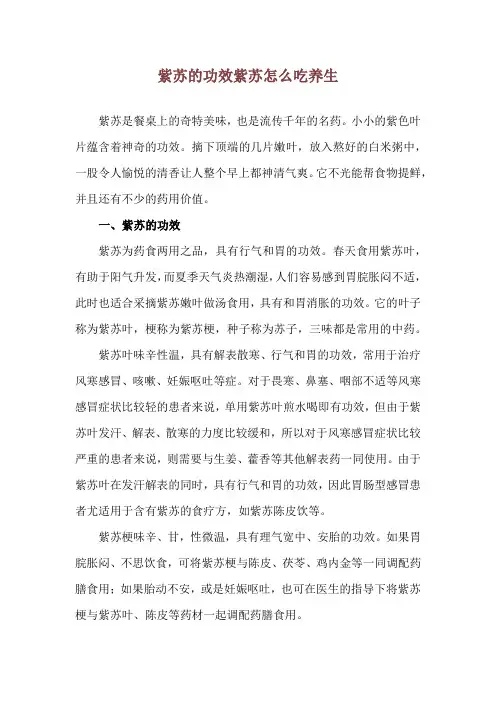 紫苏的功效 紫苏怎么吃养生