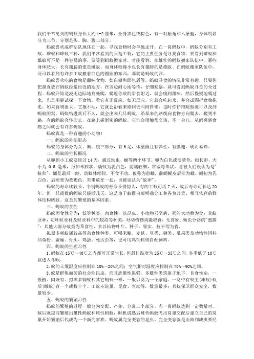 蚂蚁说明文