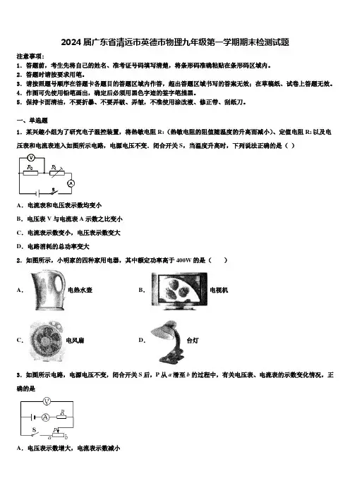 2024届广东省清远市英德市物理九年级第一学期期末检测试题含解析