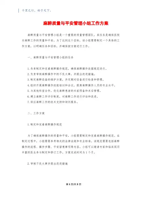 麻醉质量与安全管理小组工作计划