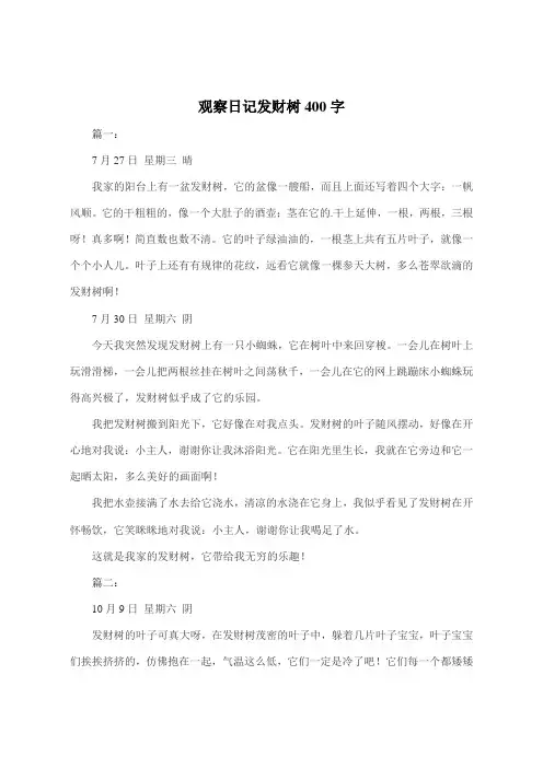 观察日记发财树400字