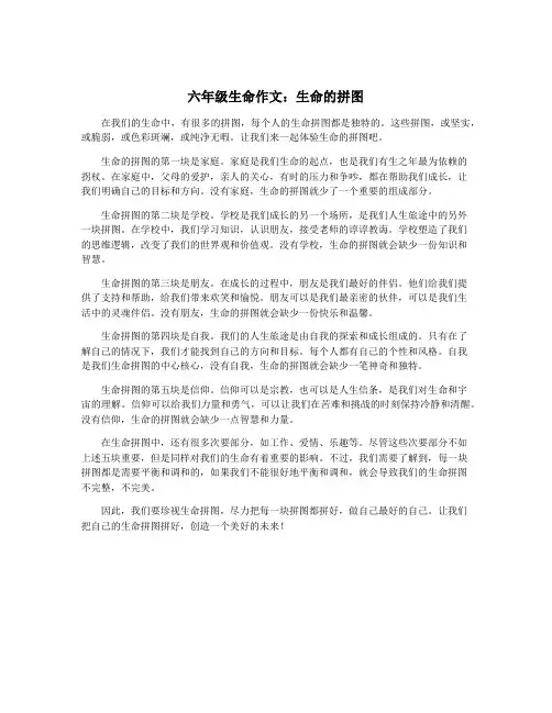 六年级生命作文：生命的拼图
