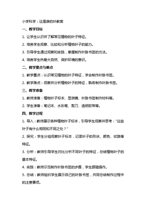 小学科学：这是谁的叶教案