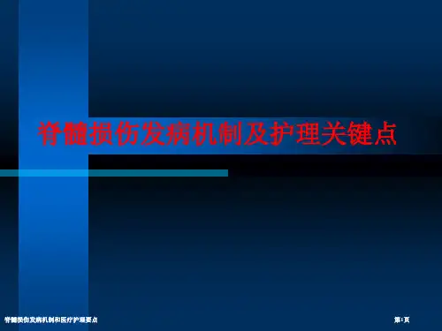 脊髓损伤发病机制和医疗护理要点