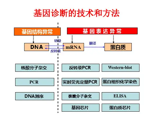 感染性疾病的分子诊断