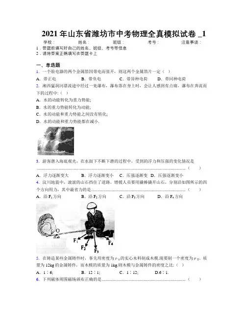 2021年山东省潍坊市中考物理全真模拟试卷及解析_1