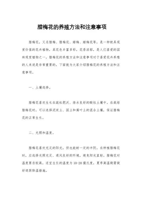 腊梅花的养殖方法和注意事项