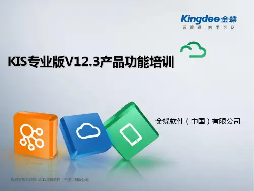KIS专业版产品功能介绍