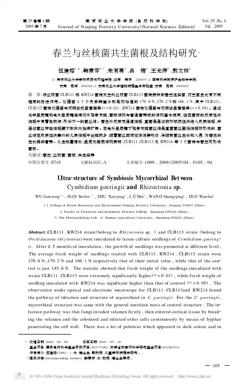春兰与丝核菌共生菌根及结构研究