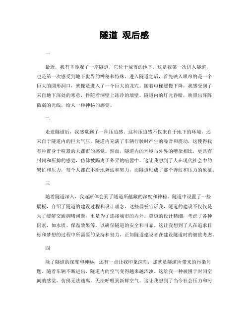 隧道 观后感