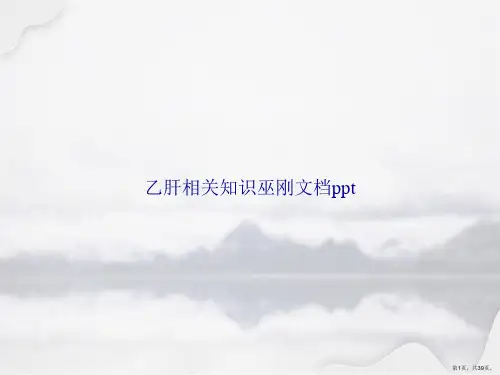 乙肝相关知识巫刚讲课文档