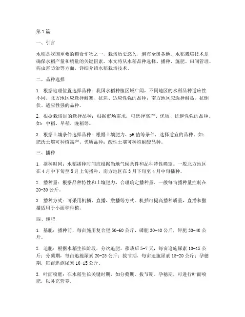 水稻栽培技术指南(3篇)