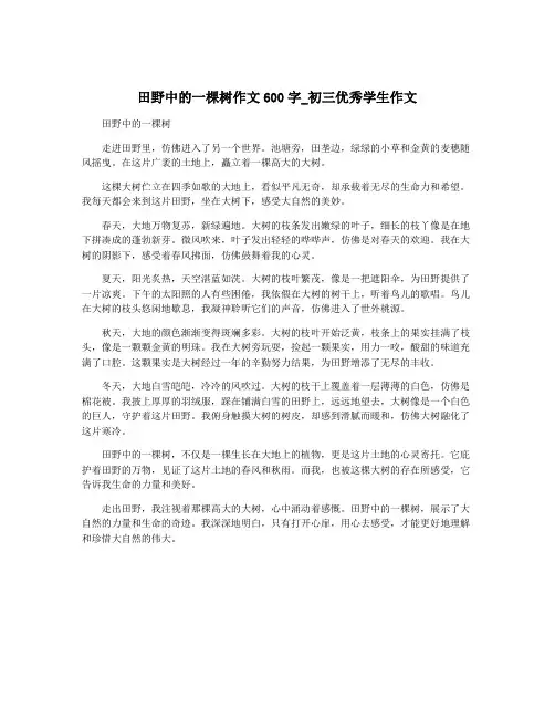 田野中的一棵树作文600字_初三优秀学生作文