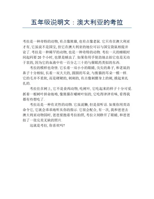 五年级说明文：澳大利亚的考拉