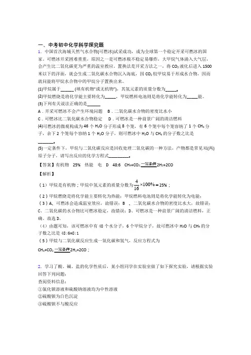中考化学复习《探究题》专项综合练习含答案解析