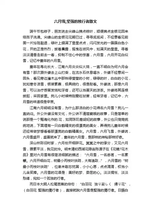 六月雪,坚强的独行者散文